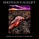 Shotgun Facelift - Open Place to Bleed