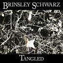 Brinsley Schwarz - Love Gets You Twisted