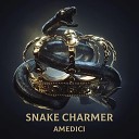 Amedici - Snake Charmer Original Mix