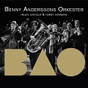 Benny Anderssons Orkester - S ng fr n andra v ningen