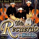 Trio Recuerdo a Hidalgo - Serenata Huasteca