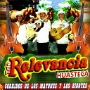 Trio Relevancia Huasteca - El Hidalguense