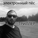 Электронный пес - Триллер