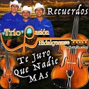 Trio Pasion Hidalguense - La Noche Perfecta