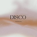 Teknikal - Disco Radio Edit