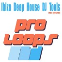 Cooltech - Ibiza Deep House BEATS 128 Tool 1