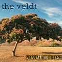 Steven Morris - The Veldt From Final Fantasy VI Cover Version