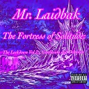 Mr Laidbak - Focused Feel This