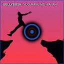 Sullybush - You Make Me Wanna Radio Edit