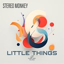Stereo Monkey - Little Things Radio Edit
