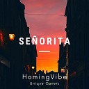 HomingVibe - Se orita Jazz Version