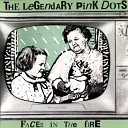 The Legendary Pink Dots - Love In A Plain Brown Envelope