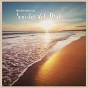 Relajaci n Oc ano y Olas - Meditaci n Con Sonidos del Mar Pt 05