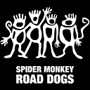 Spider Monkey - T L C