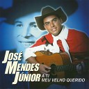 Jos Mendes J nior - Pica o Velho