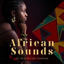 African Sound Therapy Masters - Breath of the Wild