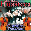 Trio Union Huasteca - Tigre de la Sierra