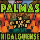 Trio Tres Palmas Hidalguense - El Golpe Traidor