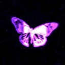 Freizer guntarrr - butterfly speed up