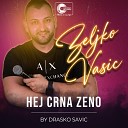 Zeljko Vasic - Hej crna zeno Cover