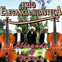 Trio Elegancia Huasteca - No Vuelvas a Hacerlo