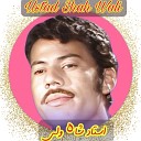 Ustad Shah Wali - Toor Urbal De Bad Rafawal