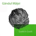 Gandul Matei - Lora