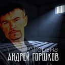 Андрей Горшков - Выхожу