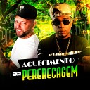 Selminho DJ feat MC GRINGO - Aquecimento da Pererecagem