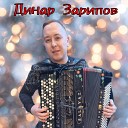 Динар Зарипов - Кайда сез яшьлегем
