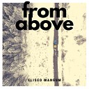 Eliseo Mangum - From Above