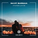 Davit Barqaia - Pure Love