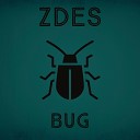 ZDES - Bug