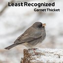Garnet Thicket - Tension