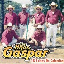 Los Hermanos Gaspar - Flor En Primavera