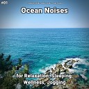 Sea Waves Sounds Nature Sounds Ocean Sounds - Ocean Noises Pt 18