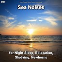 Ocean Currents Nature Sounds Ocean Sounds - Sea Noises Pt 25