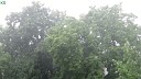 KorgStyle - Ветер и дождь Korg Pa 900 Balada…