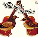 La Paloma y El Gorrion - Me Persigue Tu Sombra