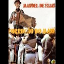 Manoel de Elias - Meu acordeon