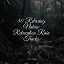 Relaxing Nature Sounds Collection Relaxing Nature Music Meditation Relaxation… - River Forest Bird Calls