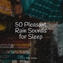 Lullabies for Deep Meditation Rain Recorders White Noise Sound… - Rain Light Forest Leaves