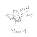 VerbaM - Муха на стекле