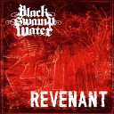 Black Swamp Water - Revenant