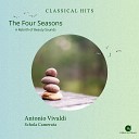 Classical Hits Schola Camerata - Summer the Four Seasons