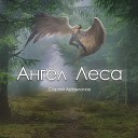 Сергей Артамонов - Ангел Леса
