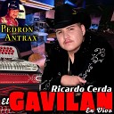 Ricardo Cerda El Gavilan feat El caballero - Vida Mafiosa