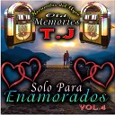 T J Soul - Es Tu Amor