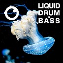 Dreazz - Liquid Drum Bass Sessions 2020 Vol 26 The Mix