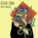 Bevin Luna - Alley s on Fire